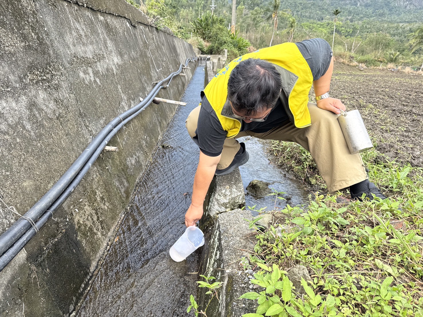 臺東農地零污染！60處水土檢測全數合格，守護永續農業
